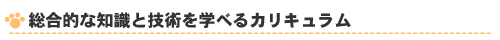 総合的な知識と技術を学べるカリキュラム