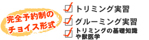 トリミングの総合的な知識と技術を学べるカリキュラム